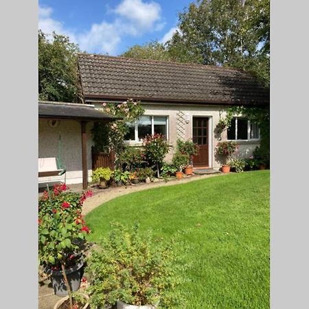Mews With Garden Views Daire Carlow Dış mekan fotoğraf