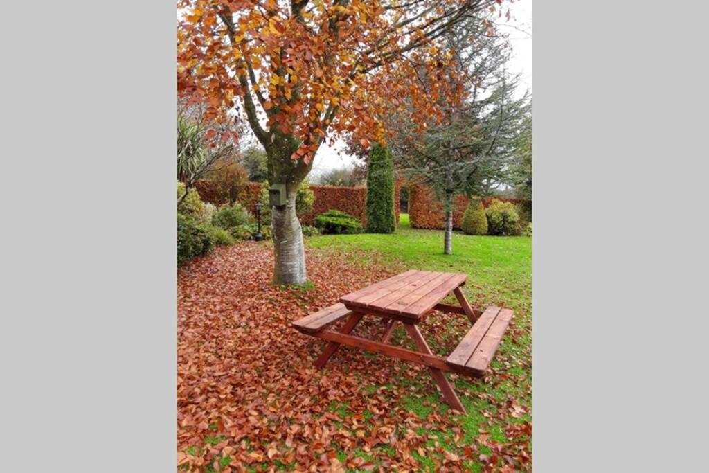 Mews With Garden Views Daire Carlow Dış mekan fotoğraf