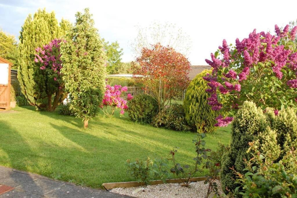 Mews With Garden Views Daire Carlow Dış mekan fotoğraf