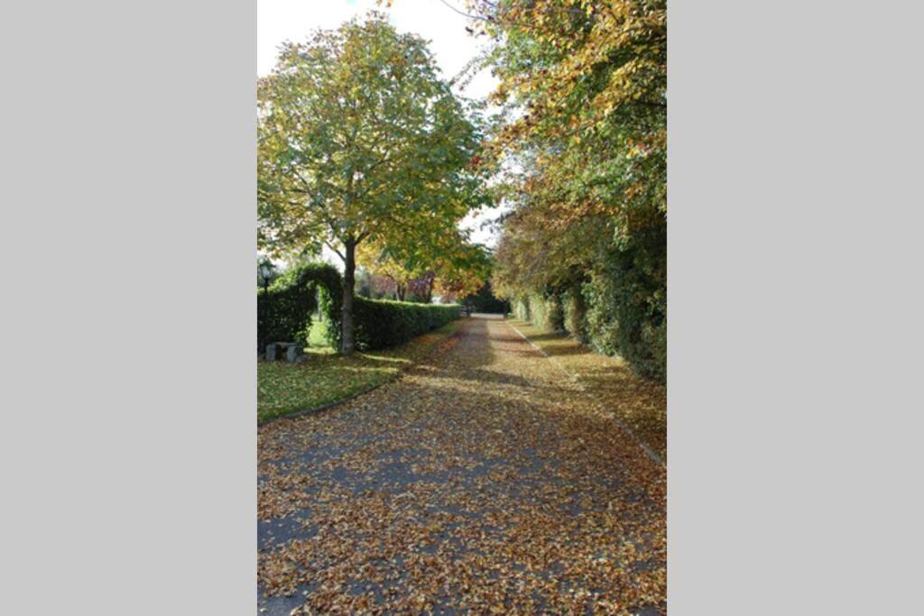 Mews With Garden Views Daire Carlow Dış mekan fotoğraf